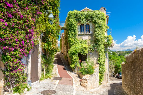 Ophorus Tours - French Riviera Countryside & Cannes Tour from Nice Small Group Experience