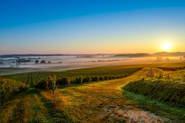 Ophorus Tours - Tours from Le Verdon-sur-Mer