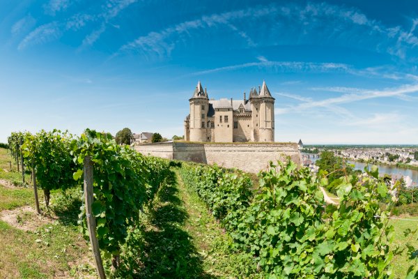 Ophorus Tours - Loire Valley Discovery: Private Angers Package with Fontevraud & Saumur