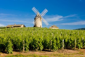 Ophorus Blog - Best Time to Visit France in 2026: Weather, Crowds & Regional Highlights