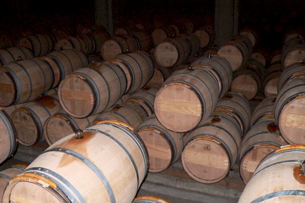 Ophorus Tours - Experience Sauternes Prestige: Château d'Yquem & Château Guiraud Wine Tour