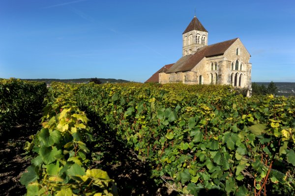 Ophorus Tours - Epernay Bubbles: Private Champagne Houses & Tastings