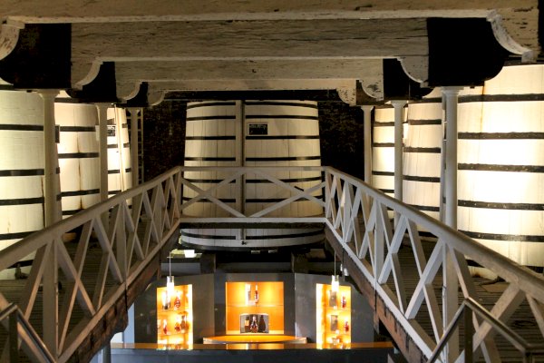 Ophorus Tours - Tours from Cognac