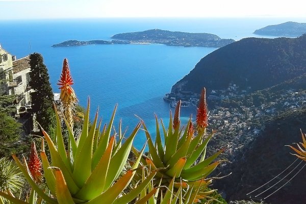 Ophorus Tours - Explore Eze, Monaco & Monte Carlo: Cannes Shore Trip