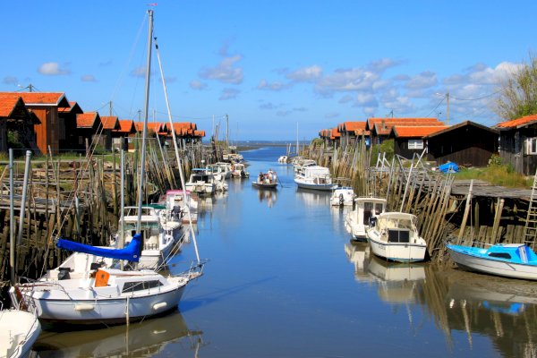 Ophorus Tours - Transfers from Arcachon
