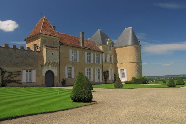 Ophorus Tours - Château d’Yquem Private Tour & Tasting from Bordeaux - Initiation