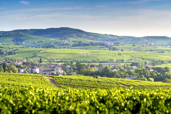 Ophorus Tours - Lyon to Beaujolais Wine Escape: Shared Day Trip