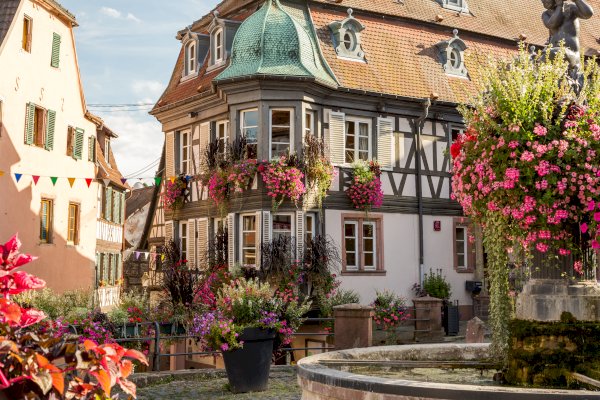 Ophorus Tours - Enchanting Alsace villages Tour from Strasbourg