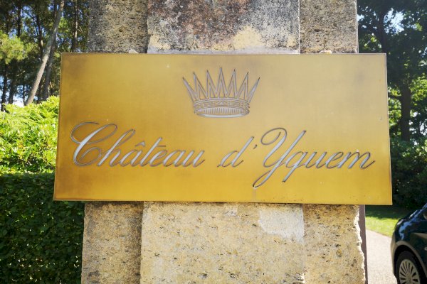 Ophorus Tours - Château d’Yquem Private Tour & Tasting from Bordeaux - Anthology