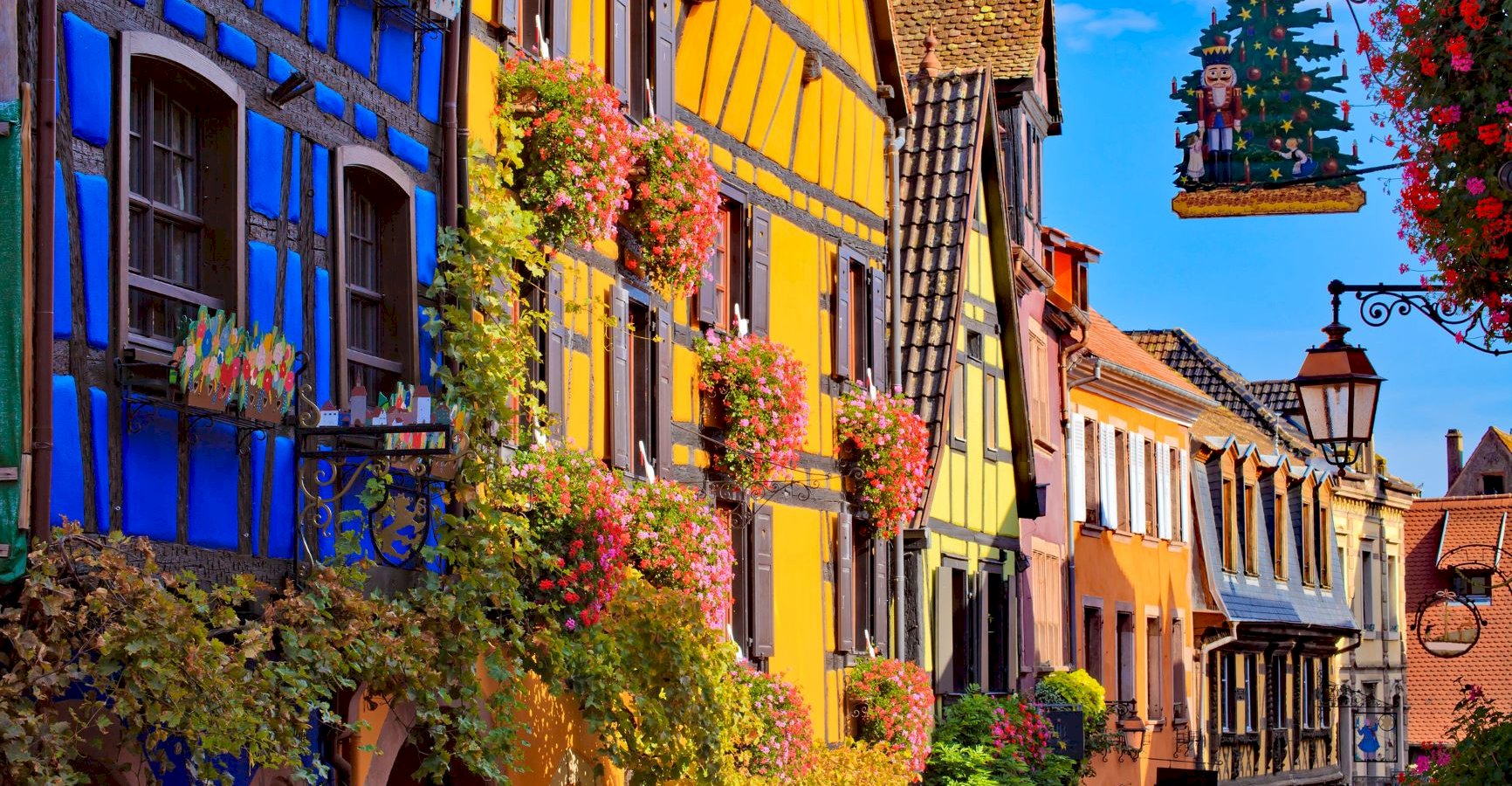 Ophorus Tours - Riquewihr