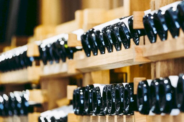 Ophorus Tours - Vosne-Romanée & More: Private Half-Day Côte de Nuits Wine Tour from Dijon