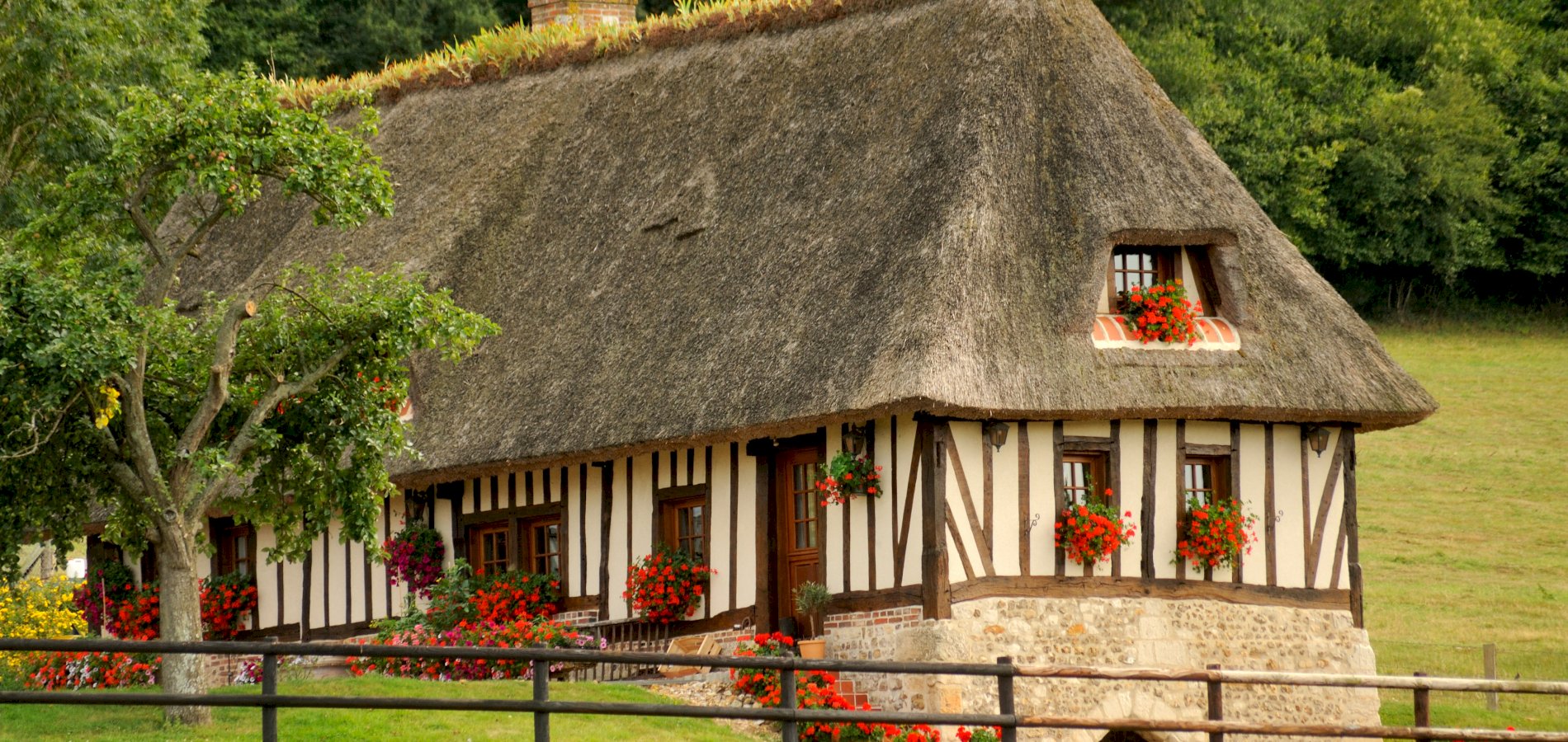 Ophorus Tours - Normandy