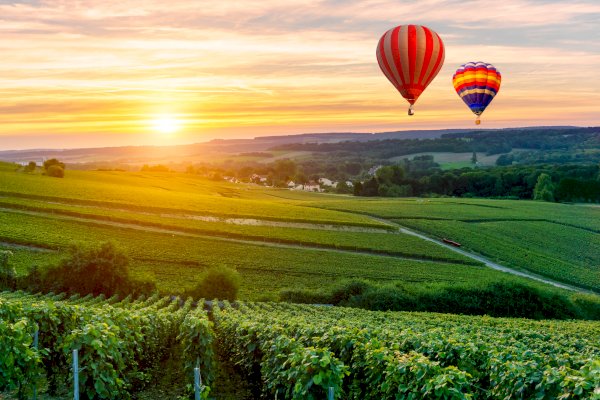 Ophorus Tours - Champagne Lover's Escape: 4-Day Small Group Package with Visits & Tastings