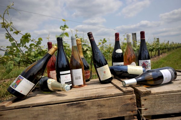 Ophorus Tours - Private Loire Valley Wine Tour – Chinon & Bourgueil for 2 From Tours