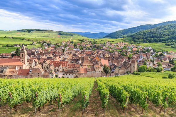 Ophorus Tours - Alsace Highlights Private Shore Excursion from Breisach
