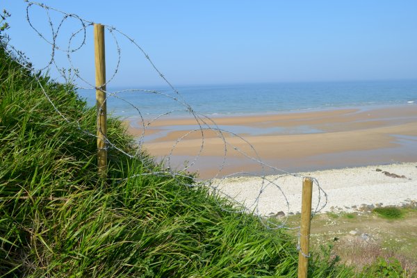 Ophorus Tours - Full-Day Private Normandy D-Day Tour for 2: Key American Landing Sites from Bayeux