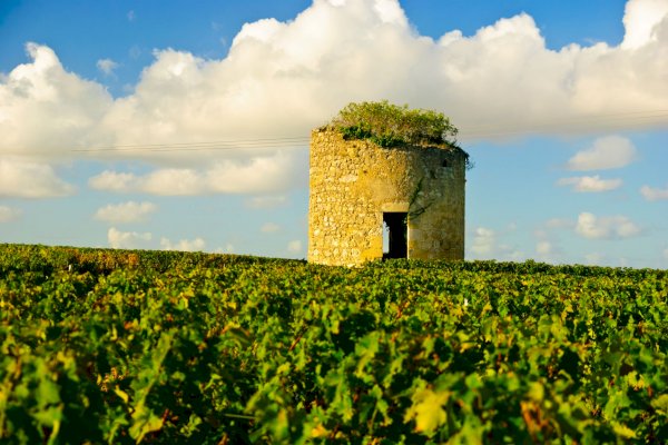 Ophorus Tours - Tours from Pauillac