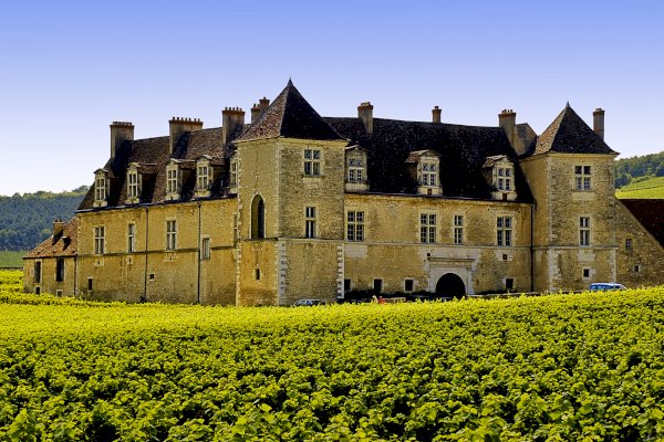 Ophorus Tours - Day tour in Burgundy with 14 wine tastings at local wineries