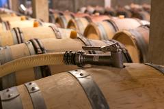 Ophorus Tours - A Private Burgundy Wine Tour From Dijon to Côte De Nuits for 2 persons