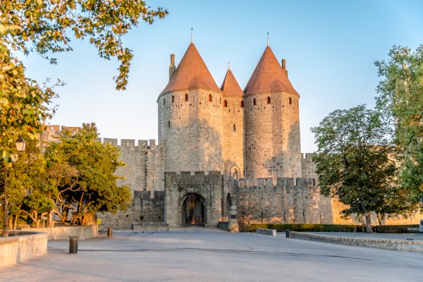 Ophorus Tours - Carcassonne Private Half-Day tour from Toulouse 